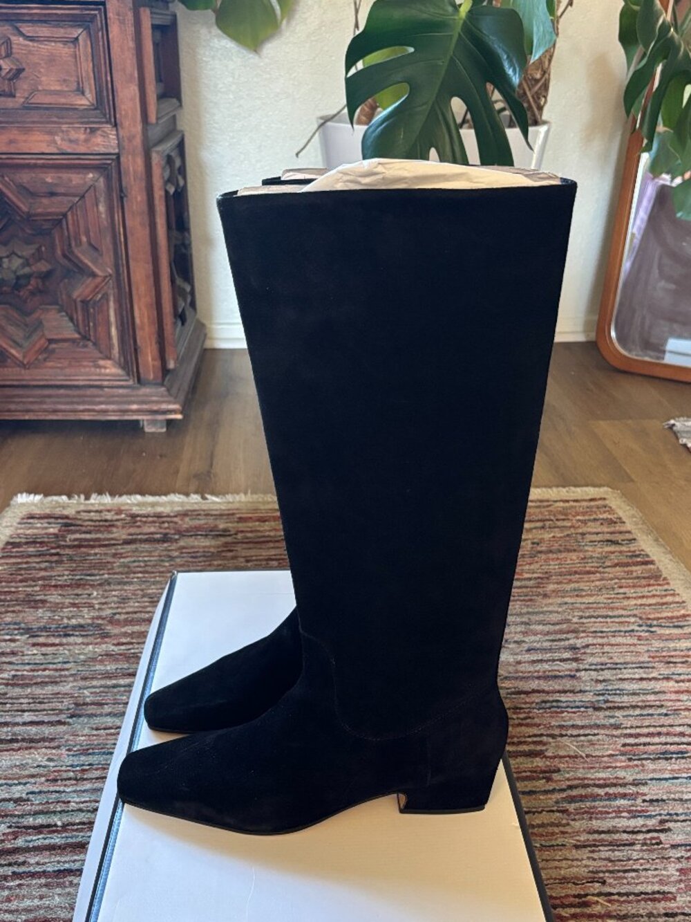 Steve Madden Dantelle Knee High Boot in Black Suede